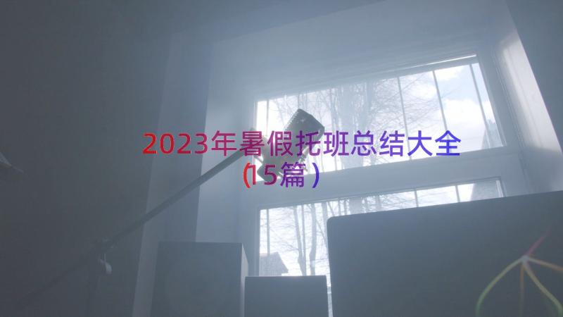 2023年暑假托班总结大全（15篇）