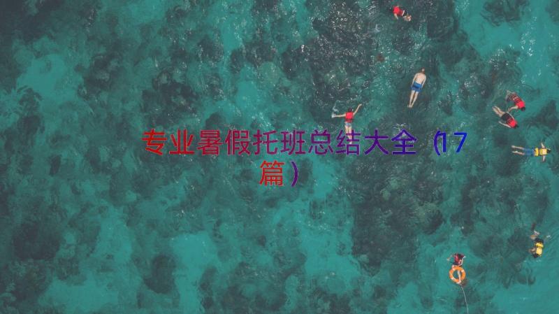 专业暑假托班总结大全（17篇）