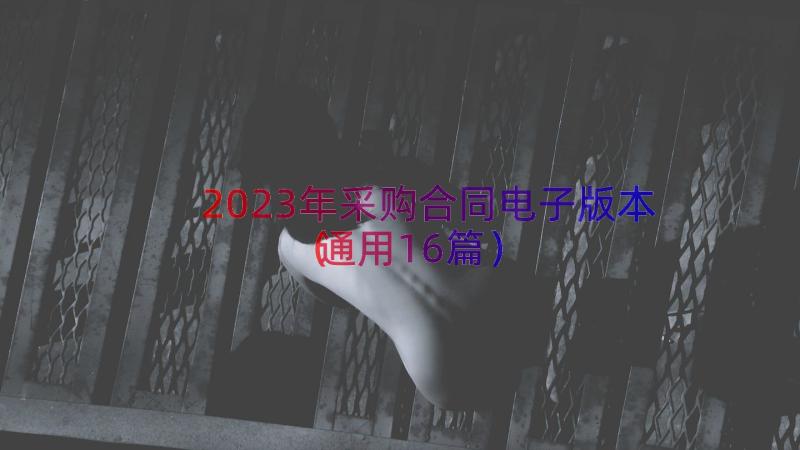 2023年采购合同电子版本（通用16篇）