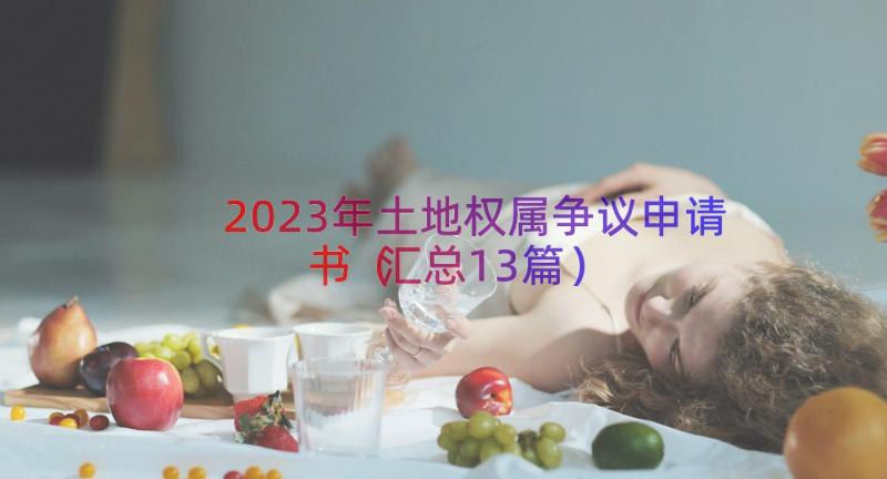 2023年土地权属争议申请书（汇总13篇）