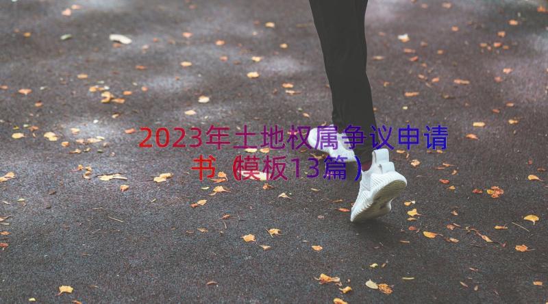 2023年土地权属争议申请书（模板13篇）