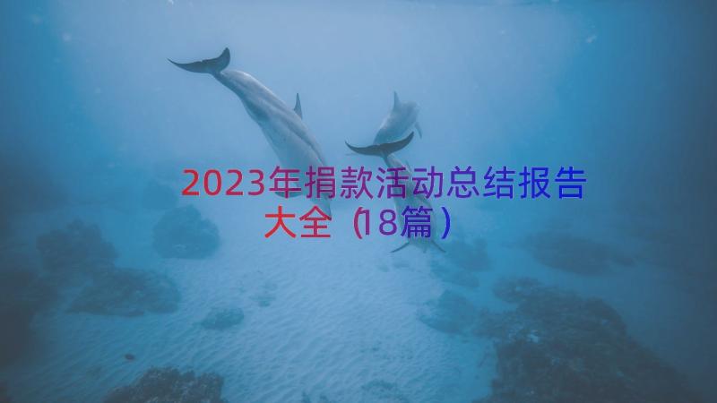 2023年捐款活动总结报告大全（18篇）