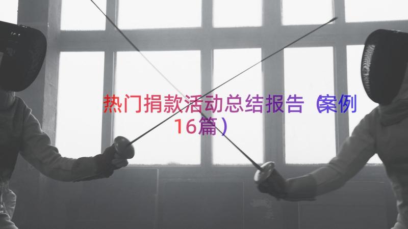 热门捐款活动总结报告（案例16篇）