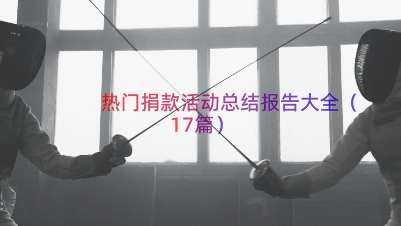 热门捐款活动总结报告大全（17篇）