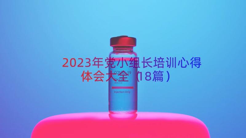 2023年党小组长培训心得体会大全（18篇）