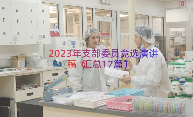 2023年支部委员竞选演讲稿（汇总17篇）