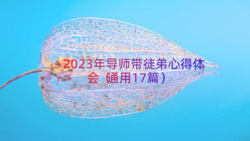 2023年导师带徒弟心得体会（通用17篇）