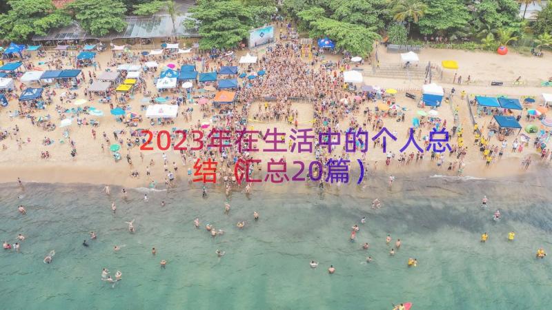 2023年在生活中的个人总结（汇总20篇）