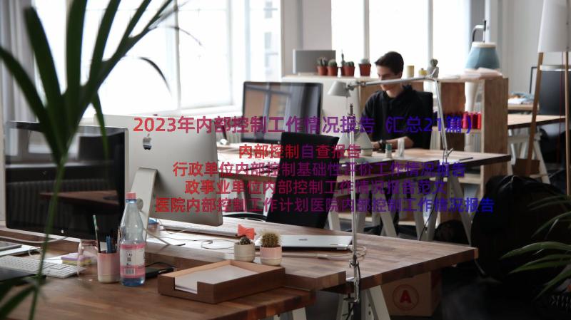 2023年内部控制工作情况报告（汇总21篇）