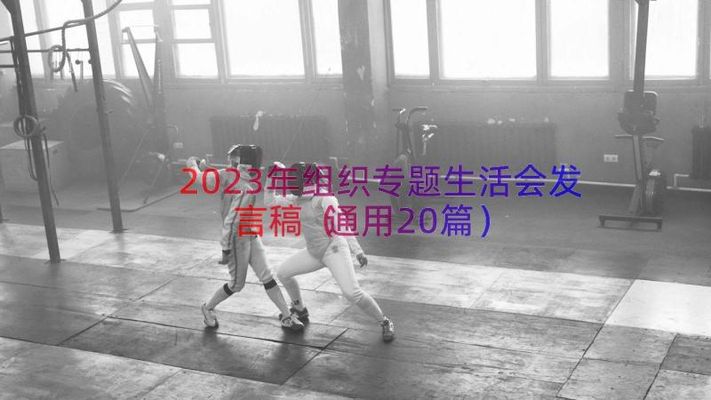 2023年组织专题生活会发言稿（通用20篇）