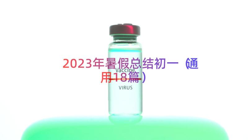 2023年暑假总结初一（通用18篇）