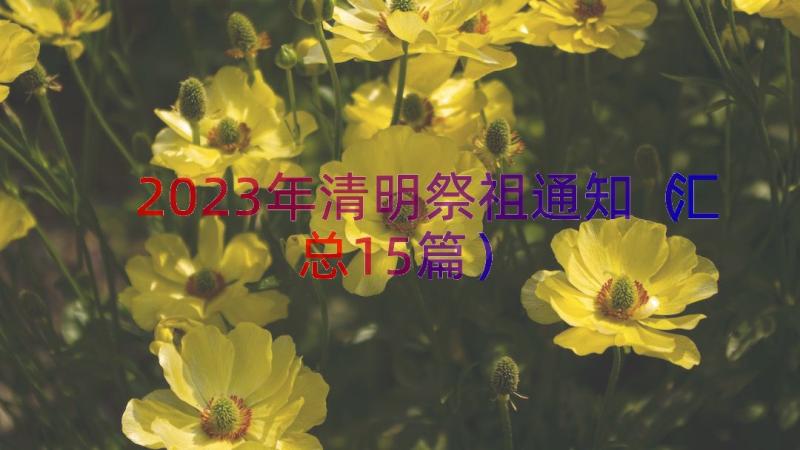 2023年清明祭祖通知（汇总15篇）