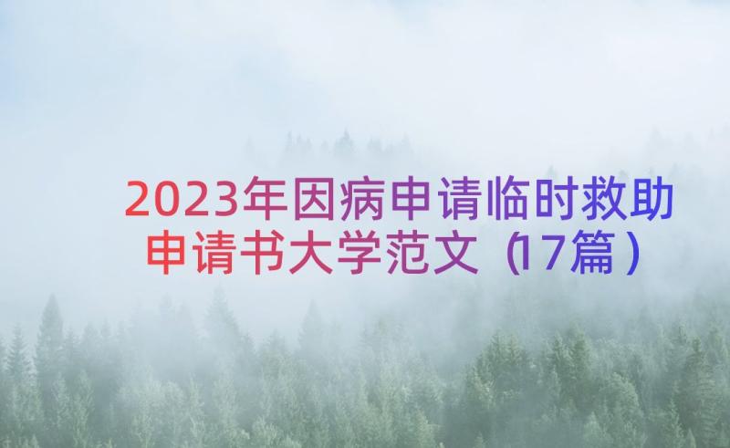 2023年因病申请临时救助申请书大学范文（17篇）