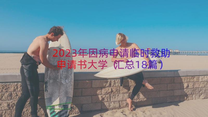 2023年因病申请临时救助申请书大学（汇总18篇）