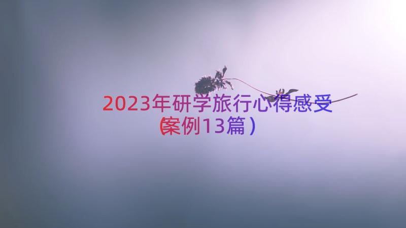 2023年研学旅行心得感受（案例13篇）