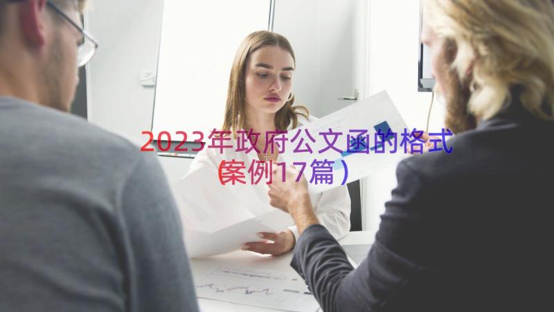 2023年政府公文函的格式（案例17篇）