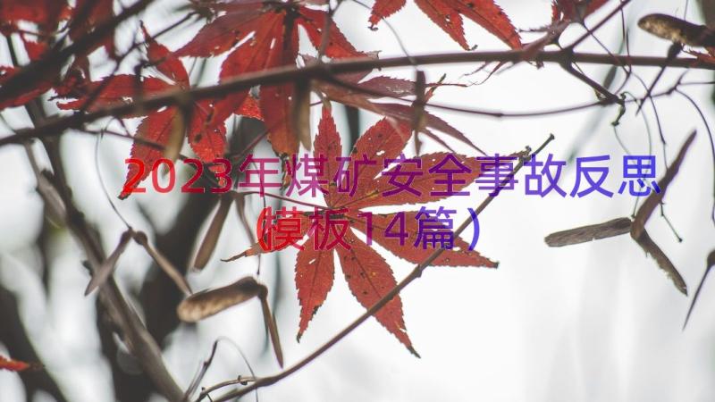 2023年煤矿安全事故反思（模板14篇）