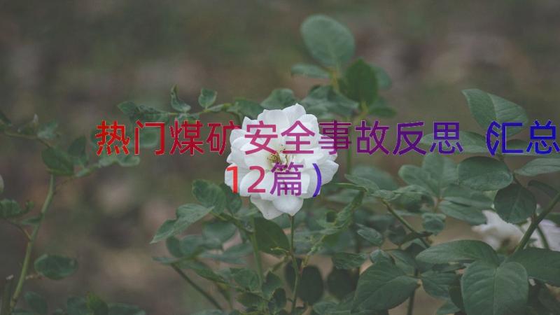 热门煤矿安全事故反思（汇总12篇）