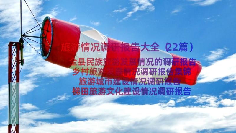 旅游情况调研报告大全（22篇）