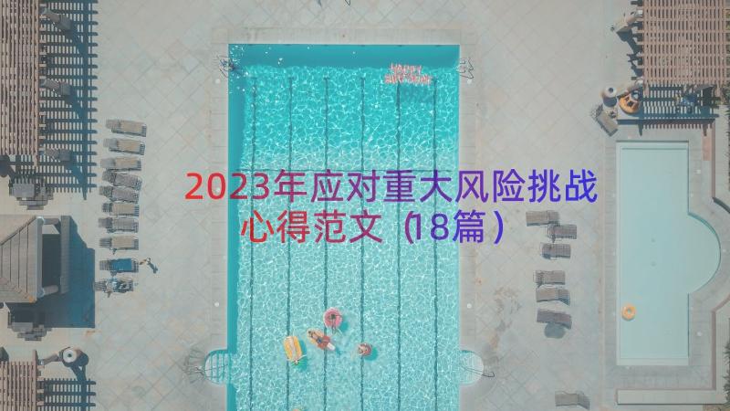 2023年应对重大风险挑战心得范文（18篇）