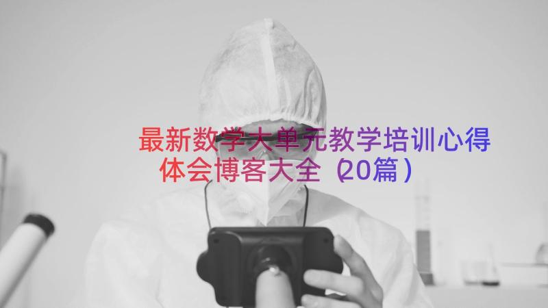 最新数学大单元教学培训心得体会博客大全（20篇）