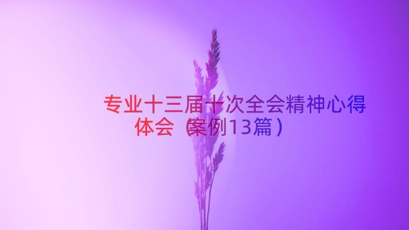 专业十三届十次全会精神心得体会（案例13篇）