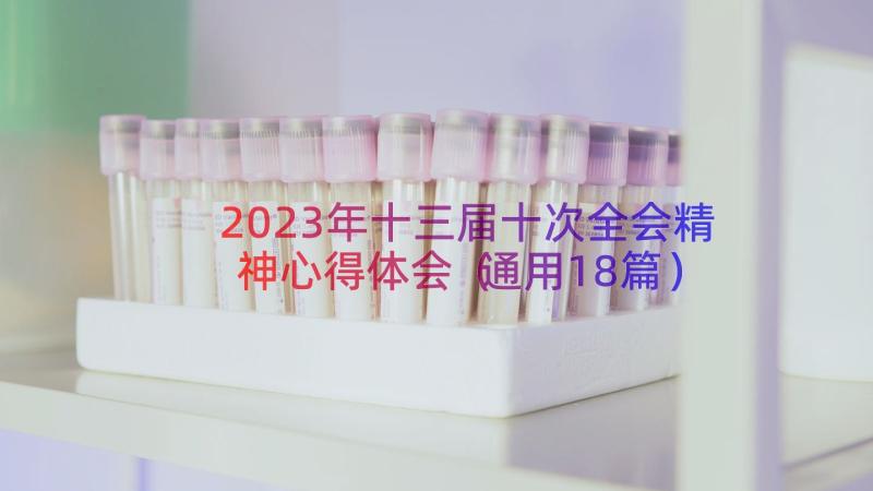 2023年十三届十次全会精神心得体会（通用18篇）