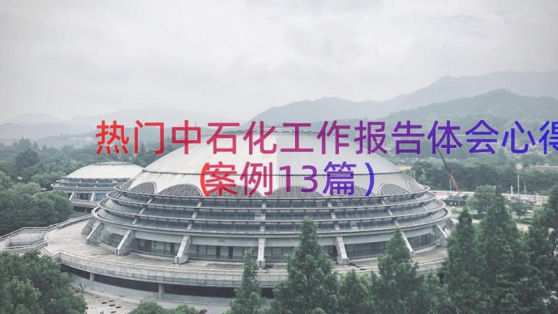 热门中石化工作报告体会心得（案例13篇）