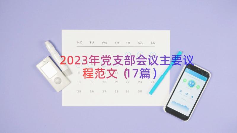 2023年党支部会议主要议程范文（17篇）