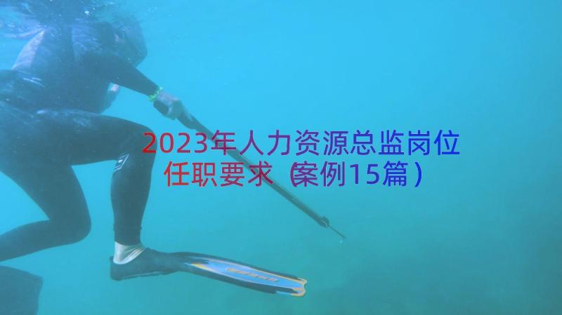 2023年人力资源总监岗位任职要求（案例15篇）