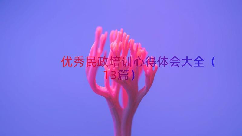 优秀民政培训心得体会大全（13篇）