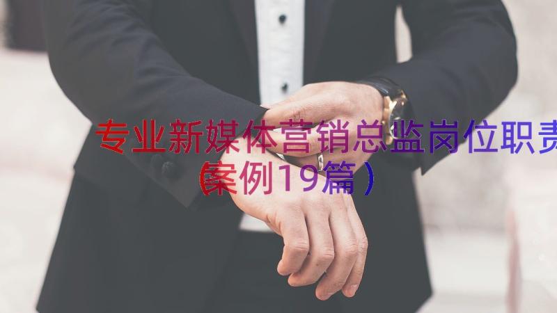 专业新媒体营销总监岗位职责（案例19篇）