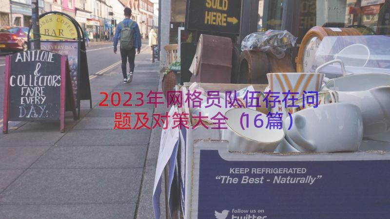 2023年网格员队伍存在问题及对策大全（16篇）