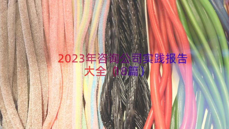 2023年咨询公司实践报告大全（18篇）