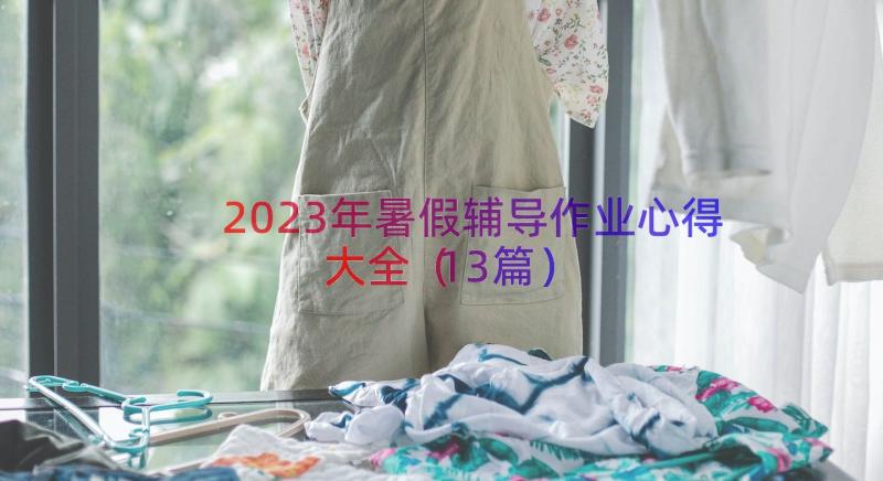 2023年暑假辅导作业心得大全（13篇）