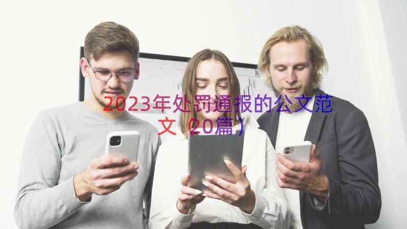 2023年处罚通报的公文范文（20篇）