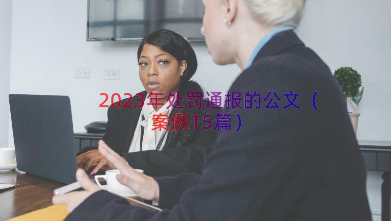 2023年处罚通报的公文（案例15篇）