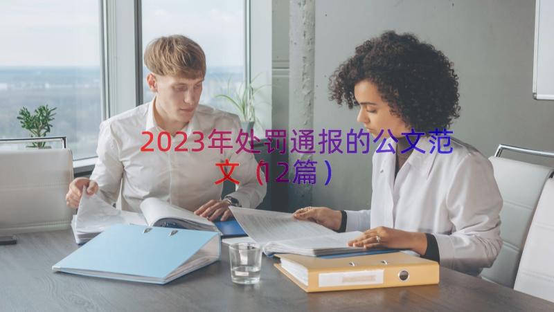 2023年处罚通报的公文范文（12篇）