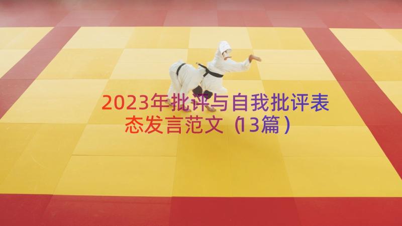 2023年批评与自我批评表态发言范文（13篇）