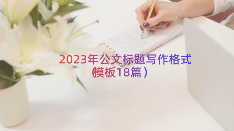 2023年公文标题写作格式（模板18篇）