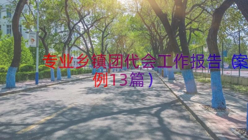 专业乡镇团代会工作报告（案例13篇）