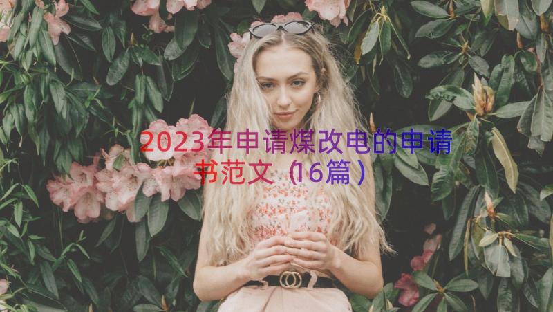 2023年申请煤改电的申请书范文（16篇）