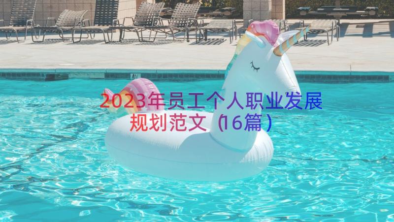 2023年员工个人职业发展规划范文（16篇）