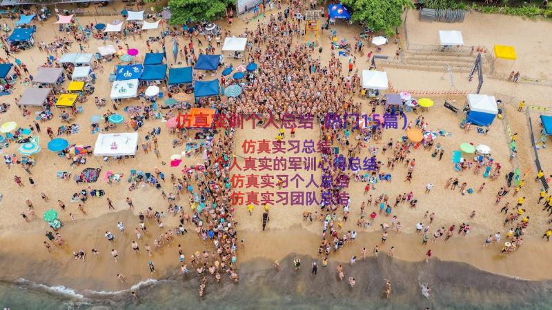 仿真实训个人总结（热门15篇）