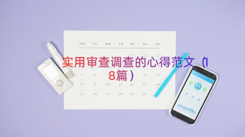 实用审查调查的心得范文（18篇）