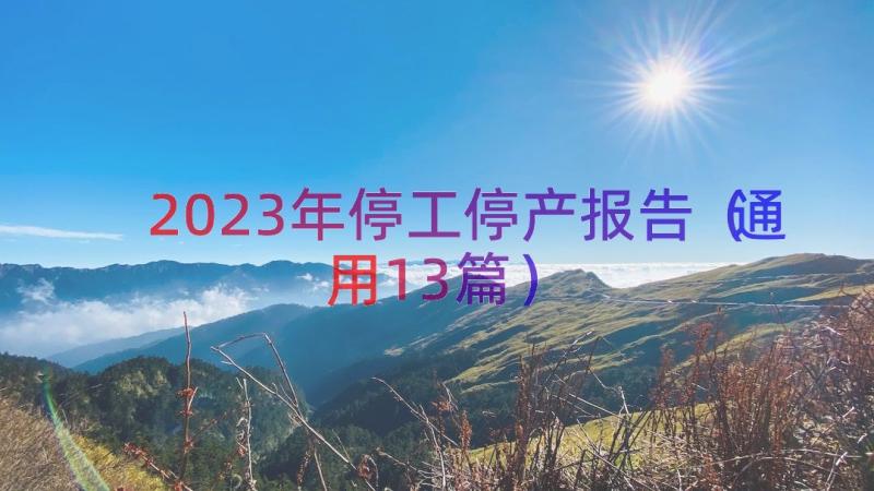 2023年停工停产报告（通用13篇）