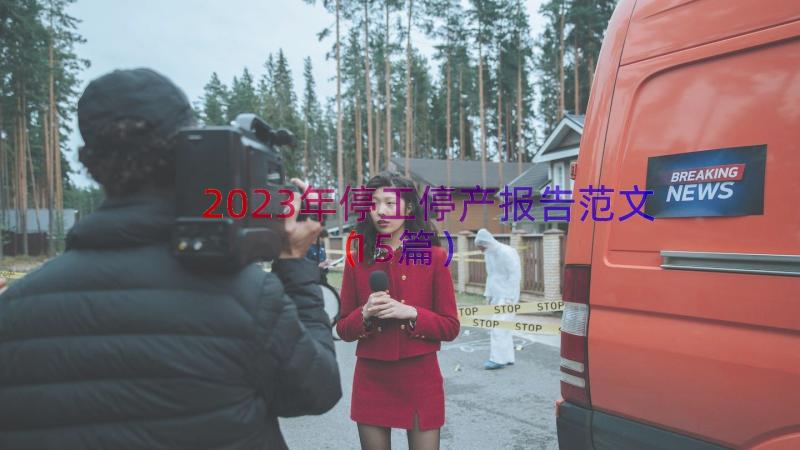 2023年停工停产报告范文（15篇）