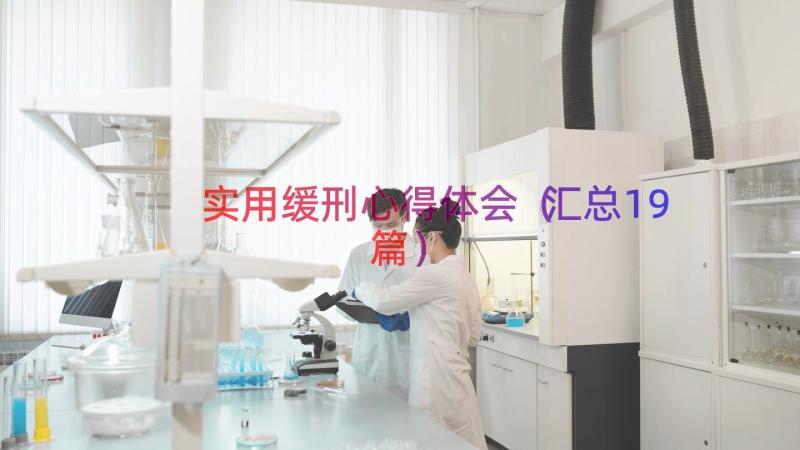 实用缓刑心得体会（汇总19篇）