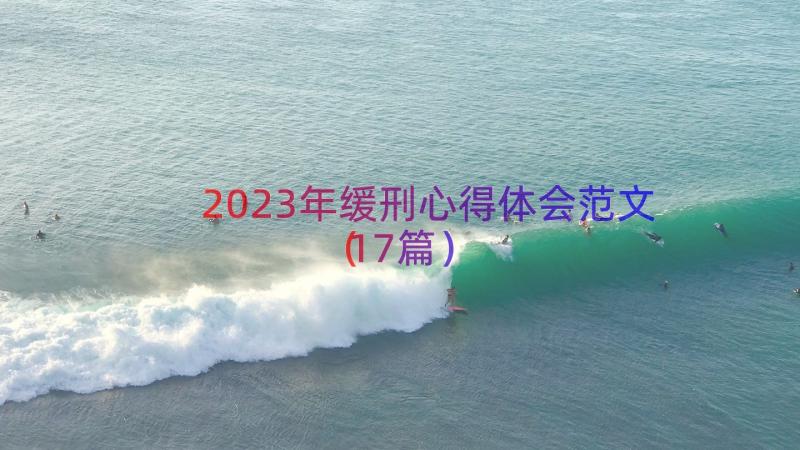 2023年缓刑心得体会范文（17篇）