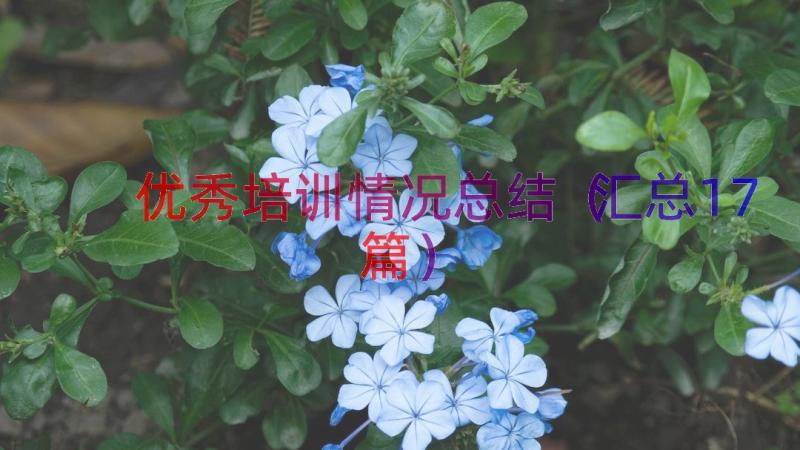 优秀培训情况总结（汇总17篇）